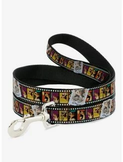 Best deal 🛒 Gremlins Gizmo Filmstrip Poses 🦮 Dog Leash 👍